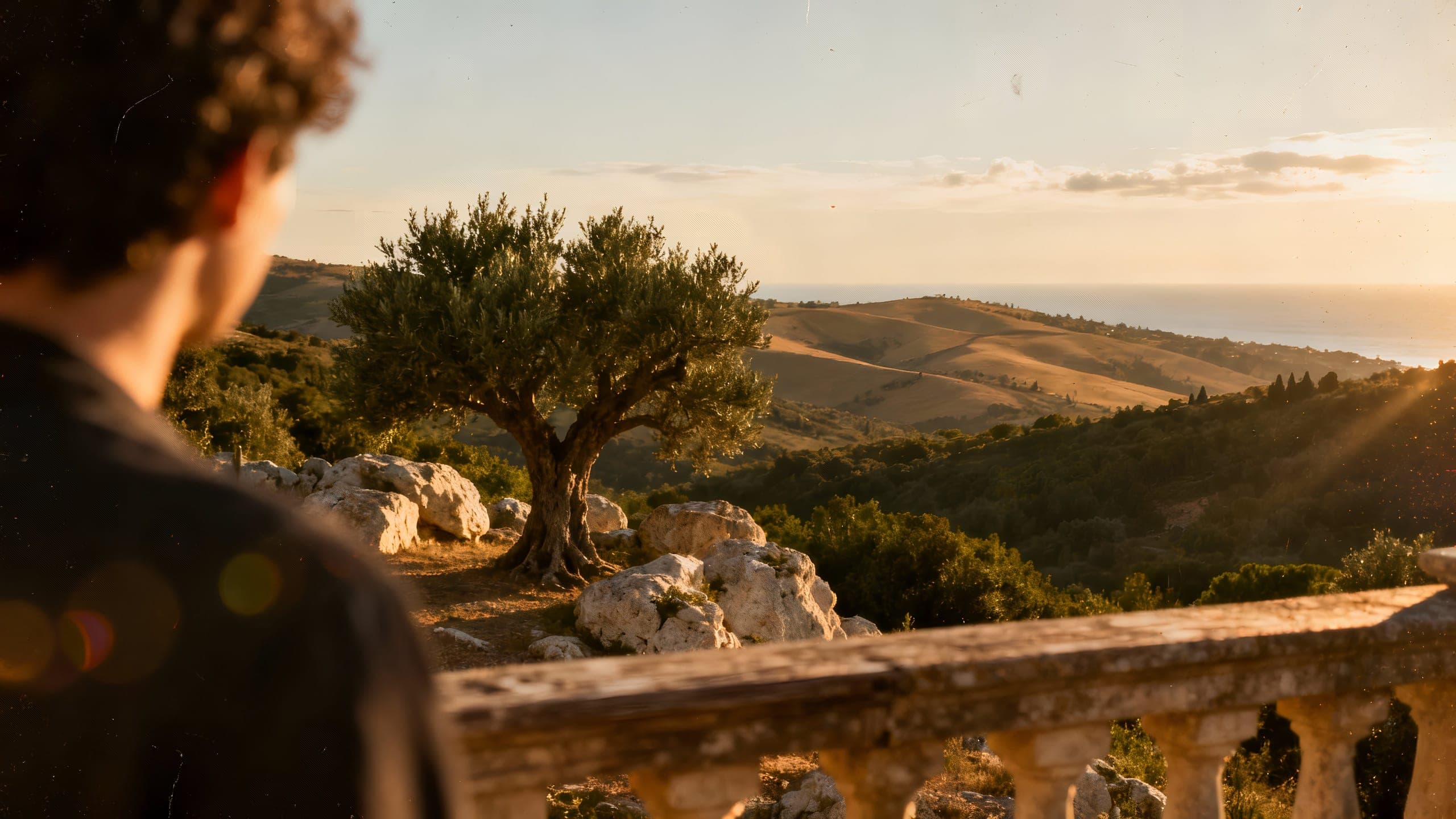 Terrace with sea views at sunset and a centuries-old olive tree.