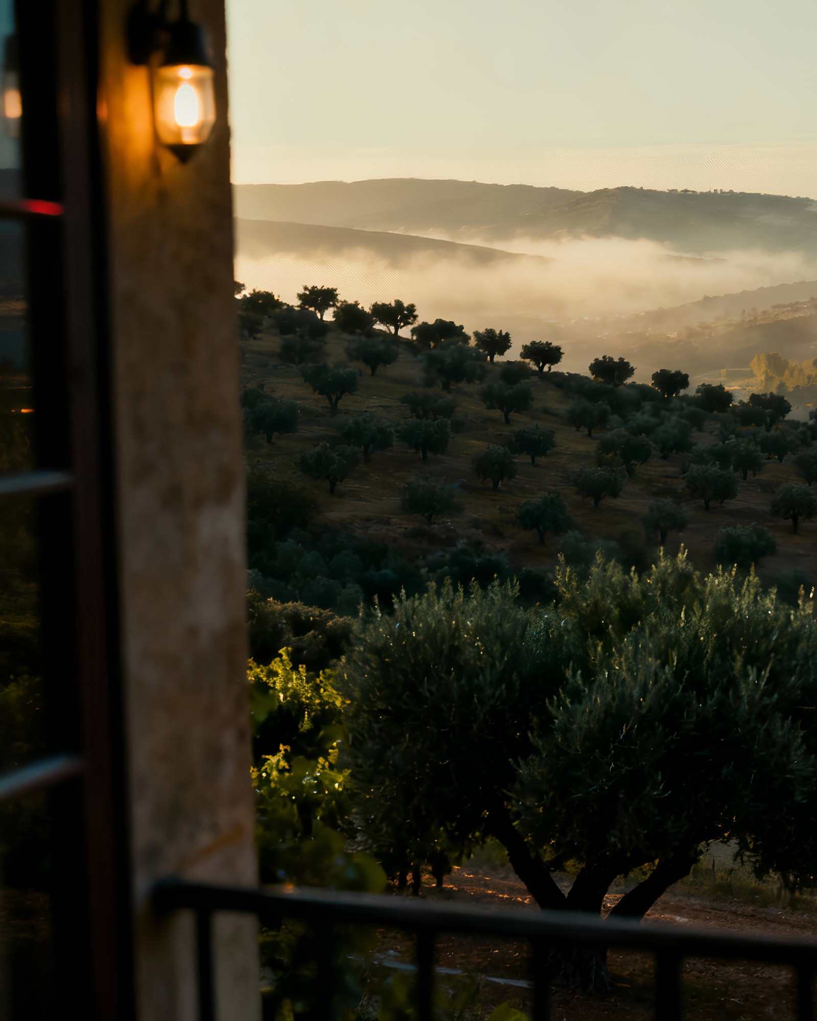 Historic hilltop estate above terraced vineyards at golden hour.